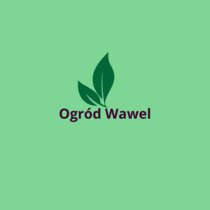 Bilet do gry liść Ogród Wawel